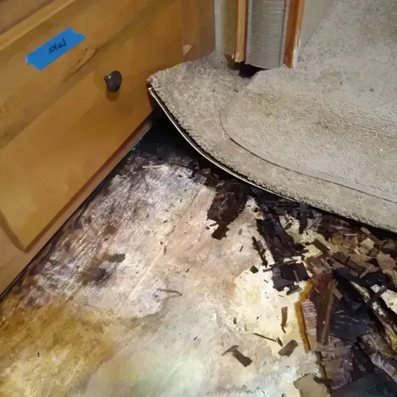 Best Wood Floor Water Damage Service in New Gloucester, ME